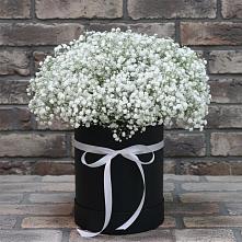 Цветочная композиция из Гипсофила в шляпной коробке #REPLACE_PRED# Белый Городок
